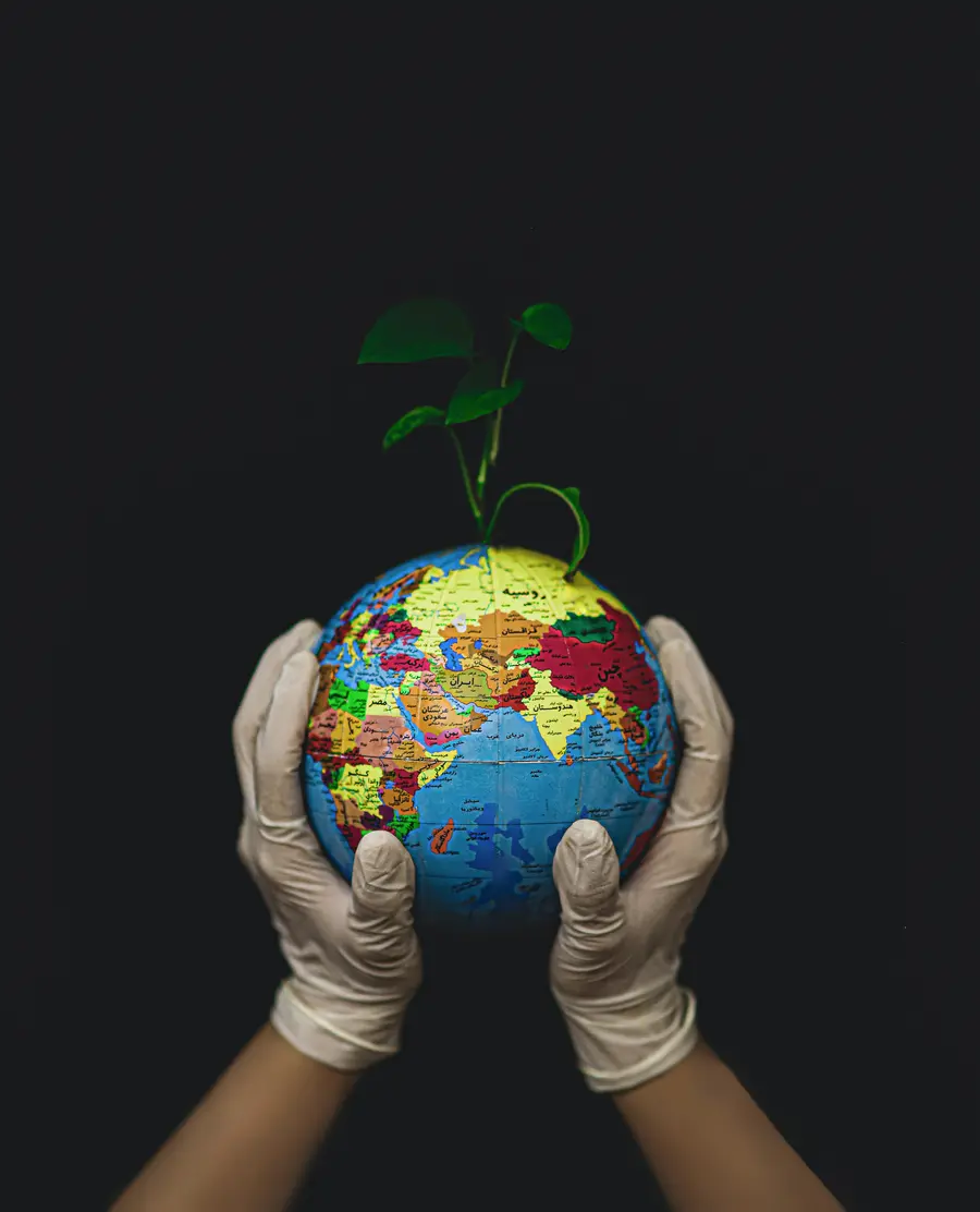 Gloved hands holding a globe with a seedling growing from it
